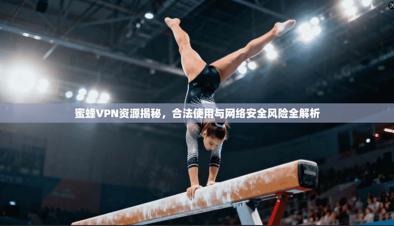 蜜蜂VPN资源揭秘，合法使用与网络安全风险全解析