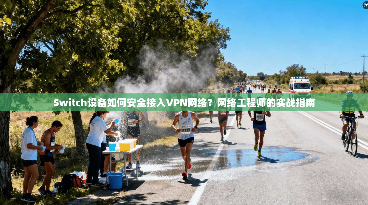 Switch设备如何安全接入VPN网络？网络工程师的实战指南