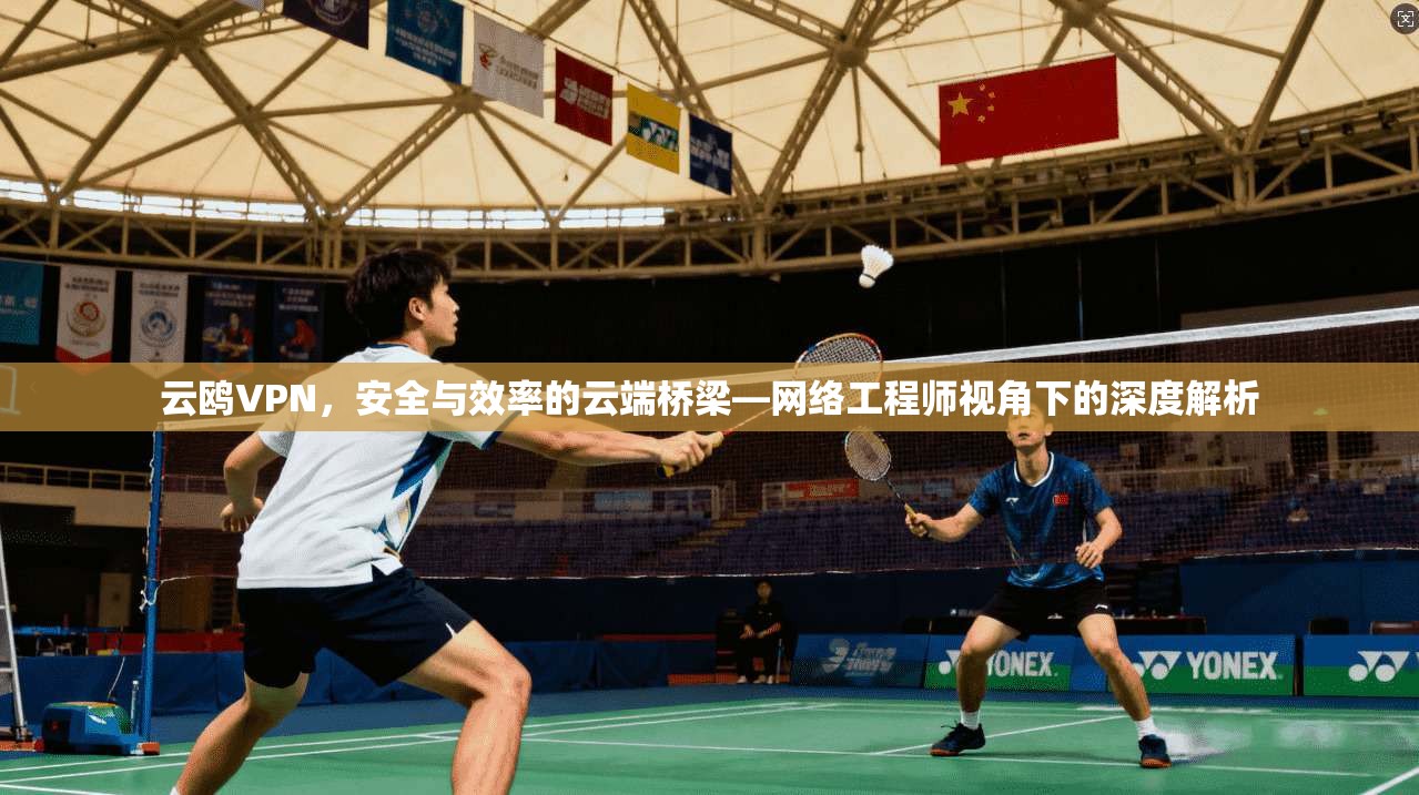 云鸥VPN，安全与效率的云端桥梁—网络工程师视角下的深度解析