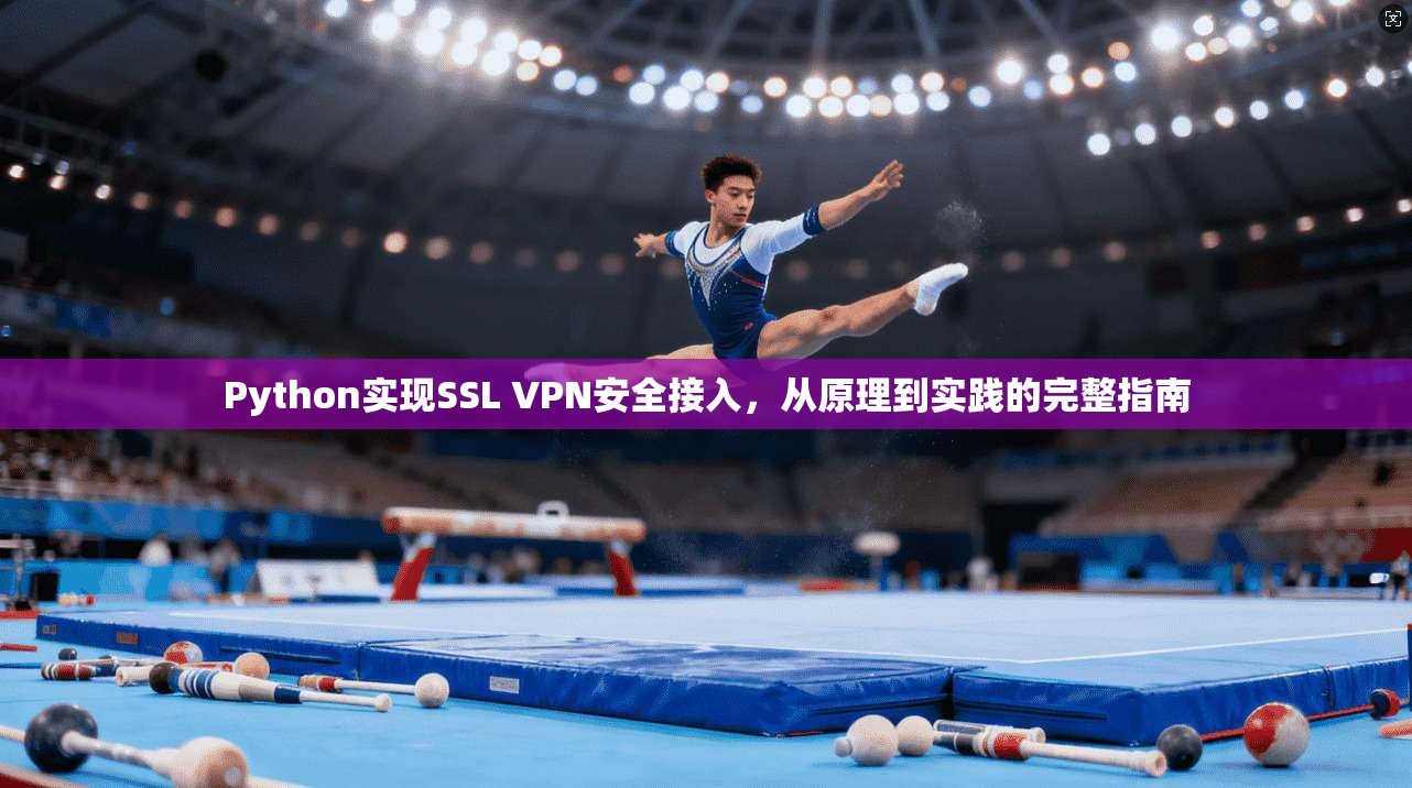 Python实现SSL VPN安全接入，从原理到实践的完整指南