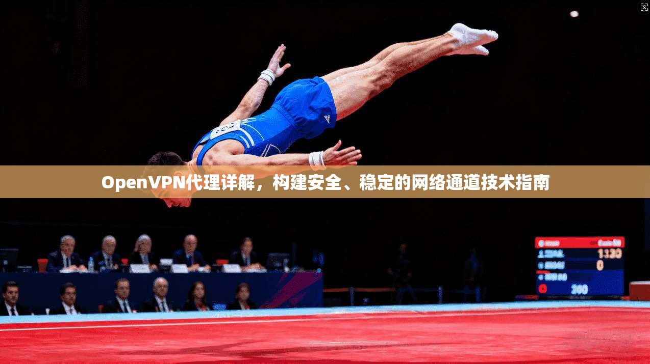 OpenVPN代理详解，构建安全、稳定的网络通道技术指南