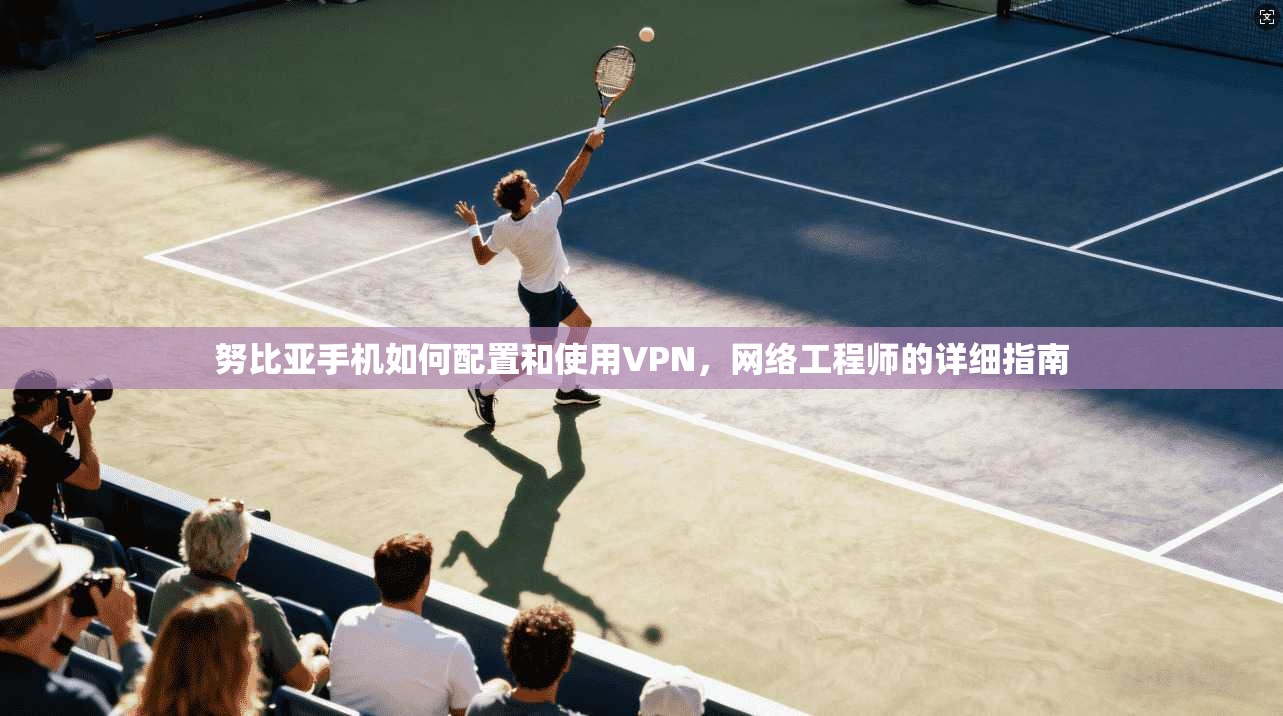 努比亚手机如何配置和使用VPN，网络工程师的详细指南