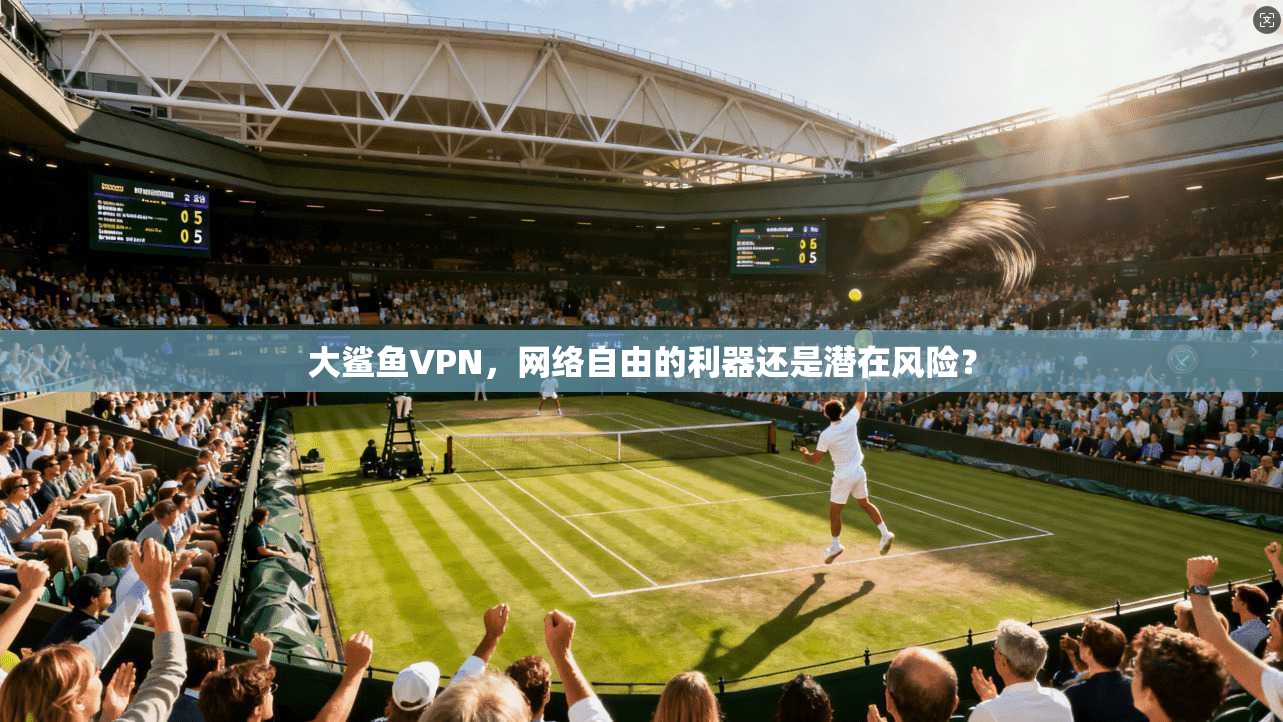 大鲨鱼VPN，网络自由的利器还是潜在风险？