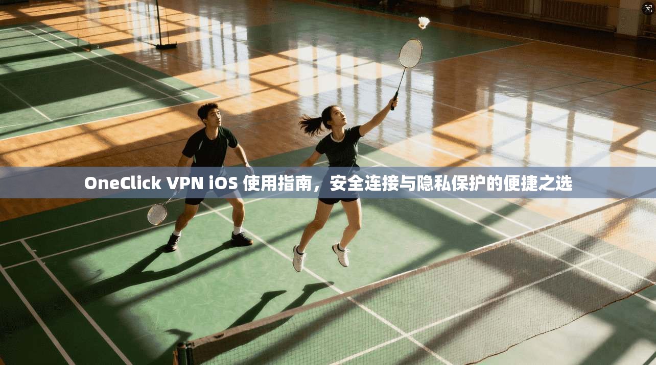 OneClick VPN iOS 使用指南，安全连接与隐私保护的便捷之选