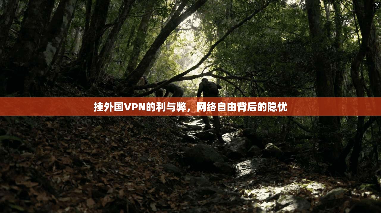 挂外国VPN的利与弊，网络自由背后的隐忧