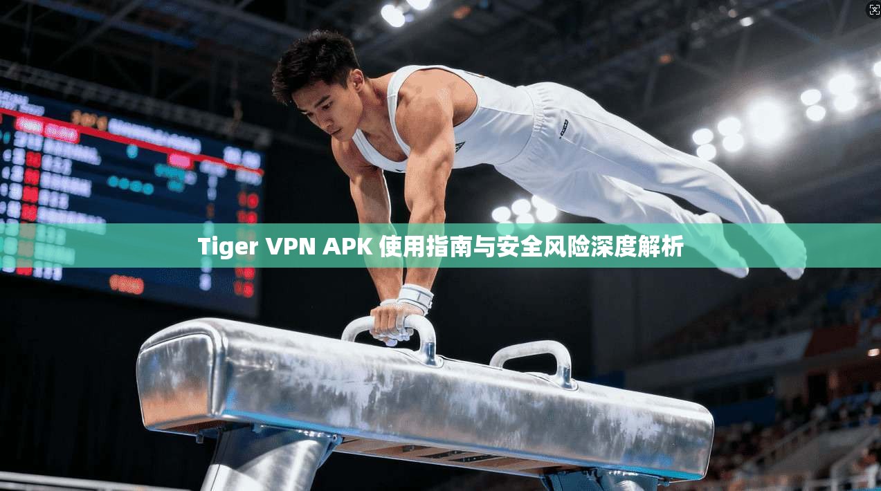 Tiger VPN APK 使用指南与安全风险深度解析