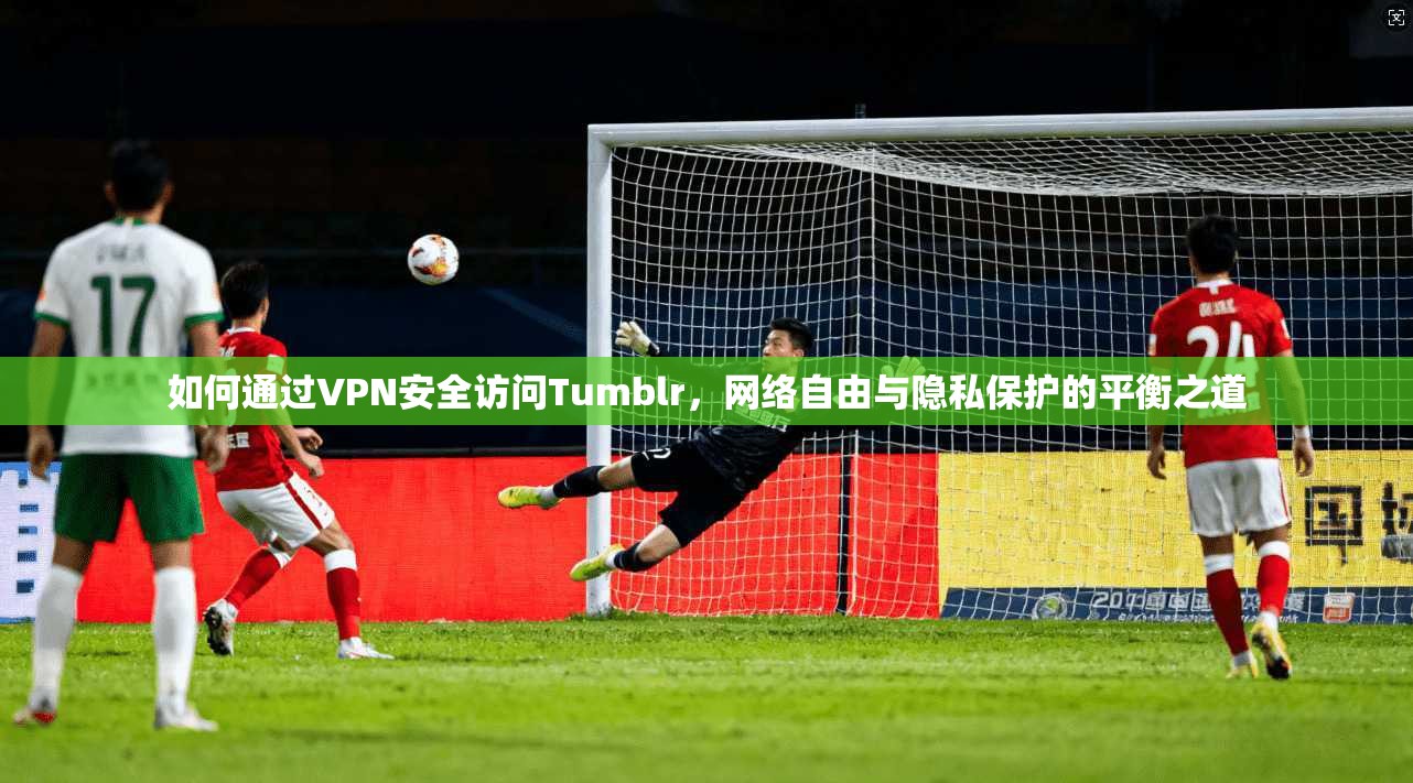 如何通过VPN安全访问Tumblr，网络自由与隐私保护的平衡之道
