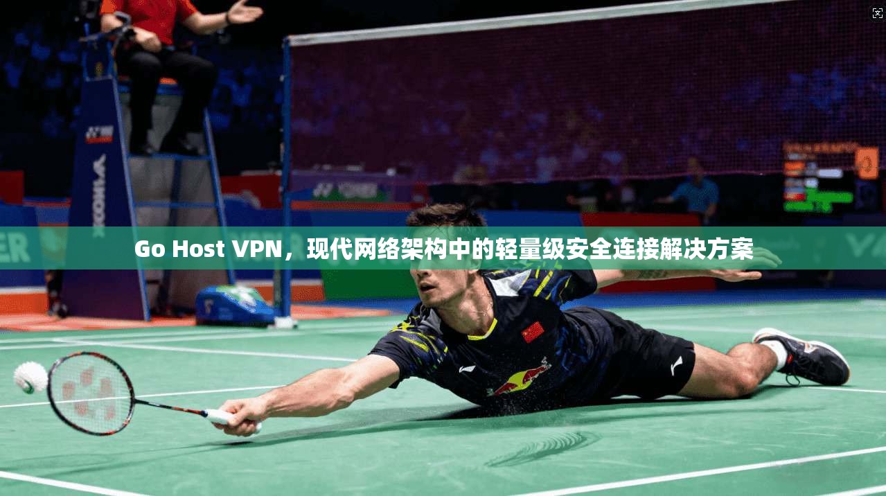 Go Host VPN，现代网络架构中的轻量级安全连接解决方案