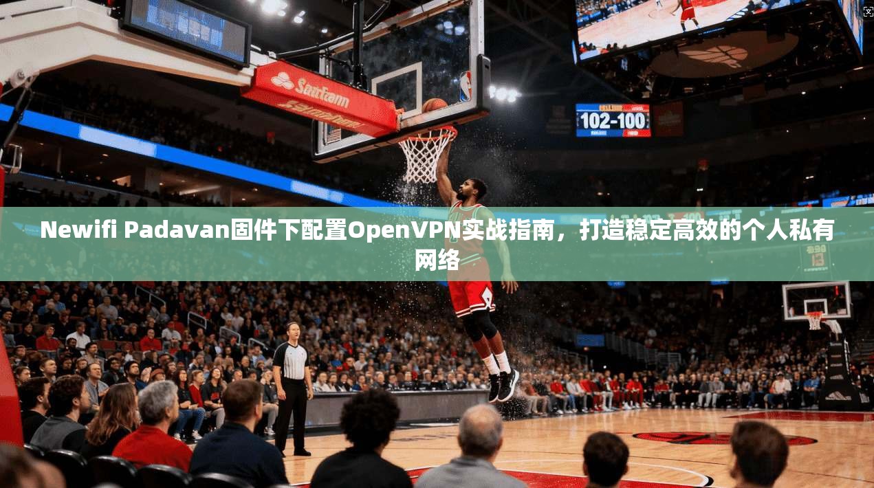 Newifi Padavan固件下配置OpenVPN实战指南,打造稳定高效的个人私有网络 Newifi Padavan固件下配置OpenVPN实战指南,打造稳定高效的个人私有网络