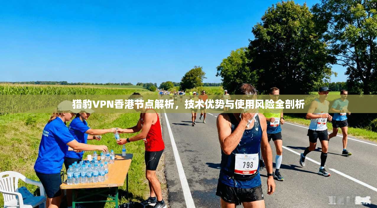 猎豹VPN香港节点解析，技术优势与使用风险全剖析