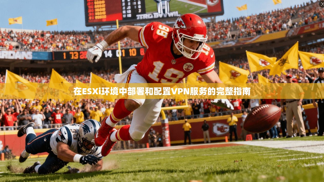 在ESXi环境中部署和配置VPN服务的完整指南