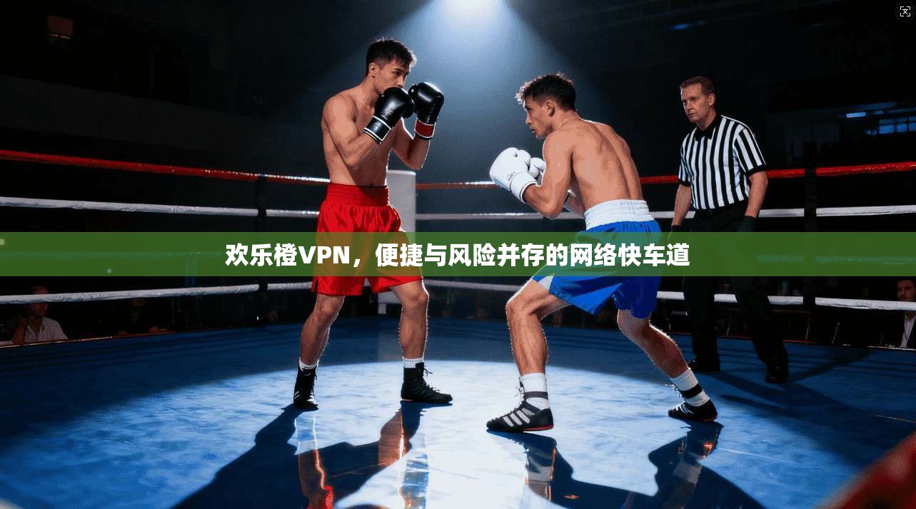 欢乐橙VPN，便捷与风险并存的网络快车道