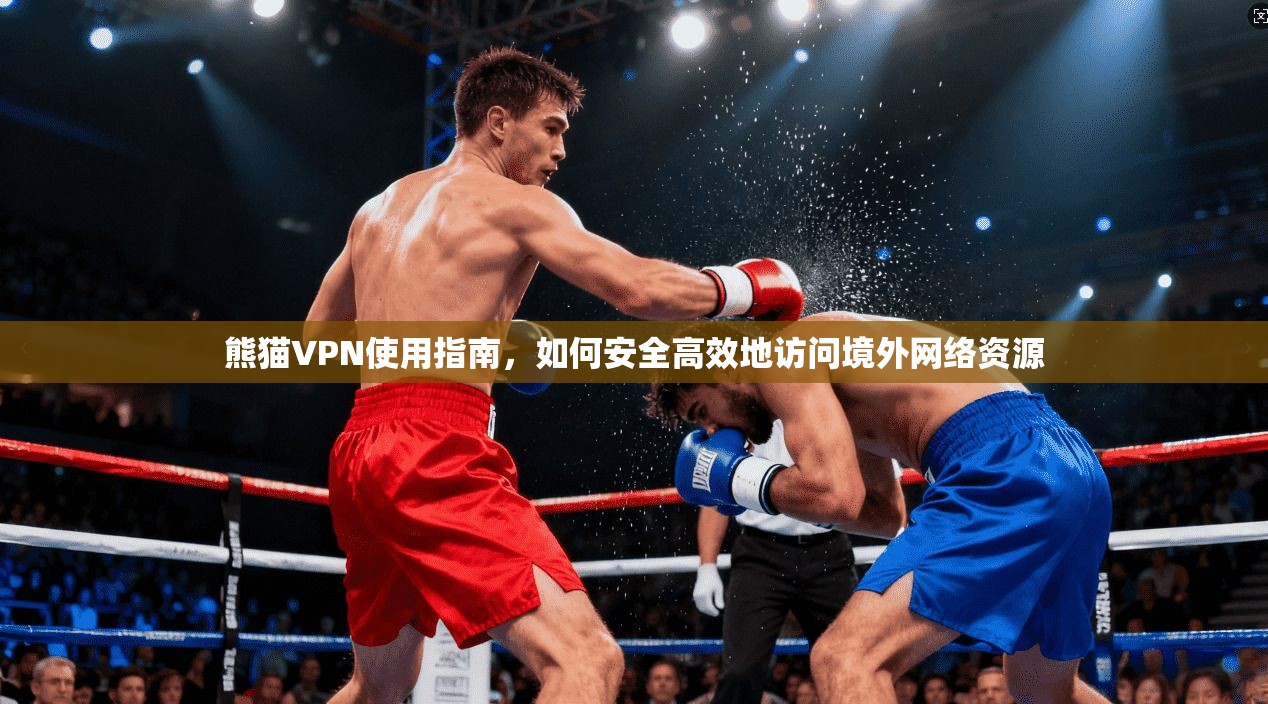熊猫VPN使用指南，如何安全高效地访问境外网络资源