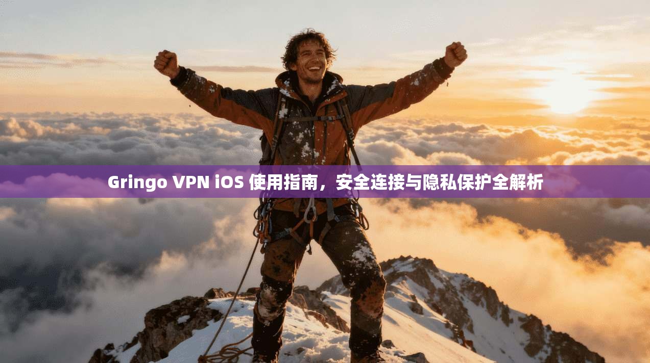Gringo VPN iOS 使用指南，安全连接与隐私保护全解析