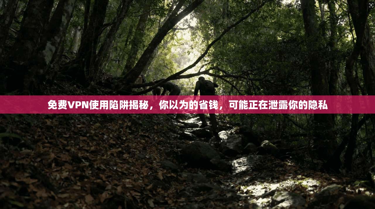 免费VPN使用陷阱揭秘，你以为的省钱，可能正在泄露你的隐私