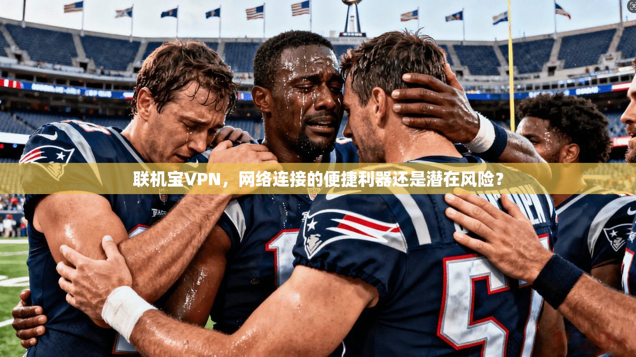 联机宝VPN，网络连接的便捷利器还是潜在风险？