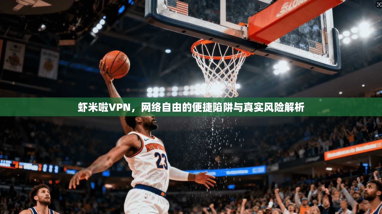 虾米啦VPN，网络自由的便捷陷阱与真实风险解析