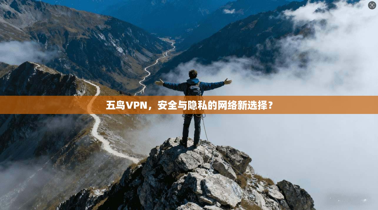 五鸟VPN，安全与隐私的网络新选择？
