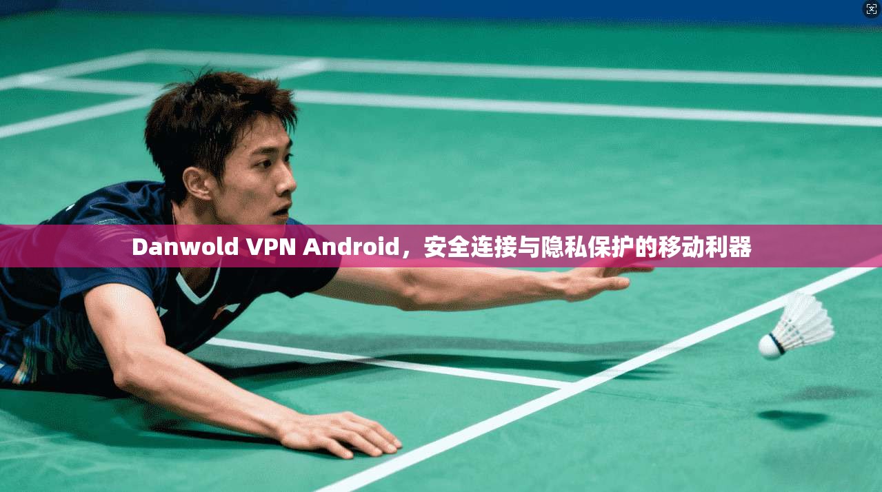 Danwold VPN Android，安全连接与隐私保护的移动利器