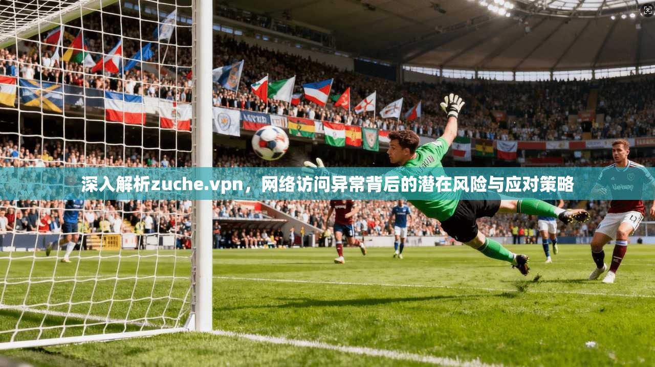 深入解析zuche.vpn，网络访问异常背后的潜在风险与应对策略