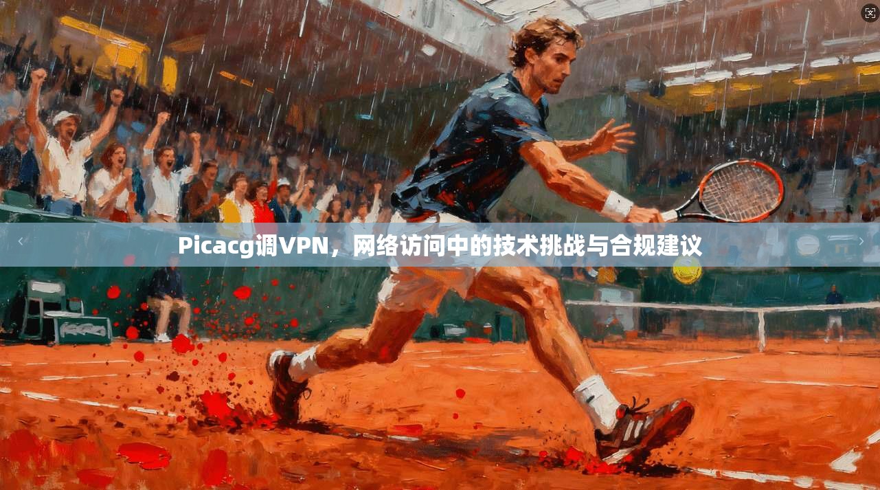 Picacg调VPN，网络访问中的技术挑战与合规建议