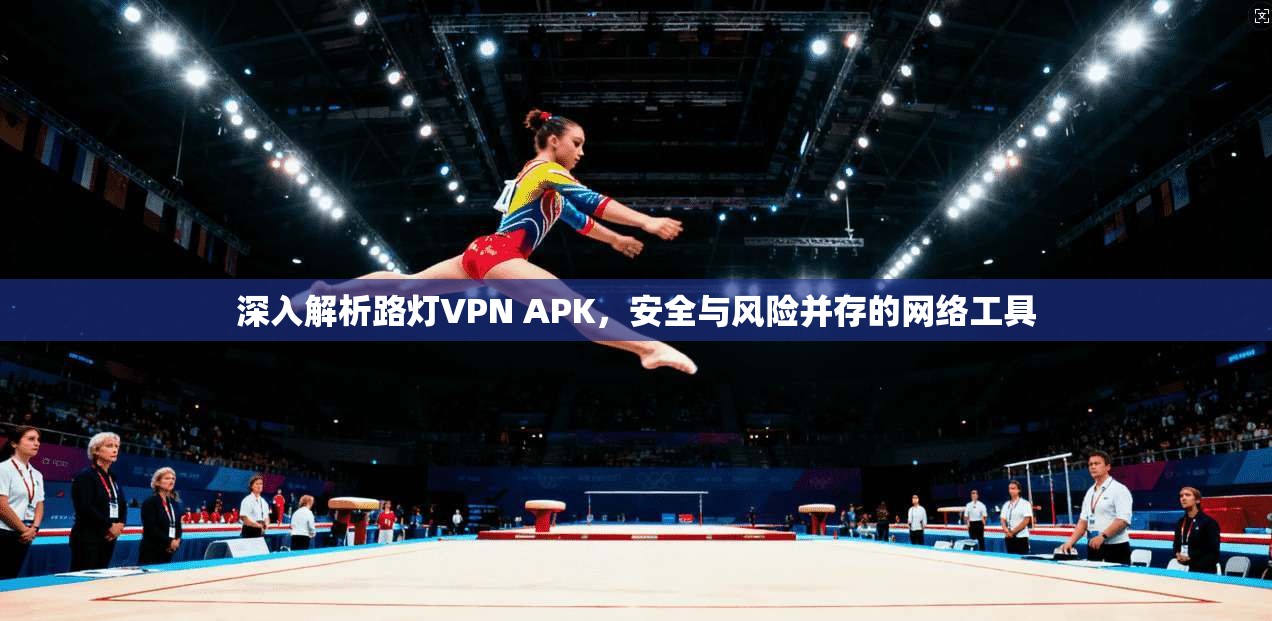 深入解析路灯VPN APK，安全与风险并存的网络工具