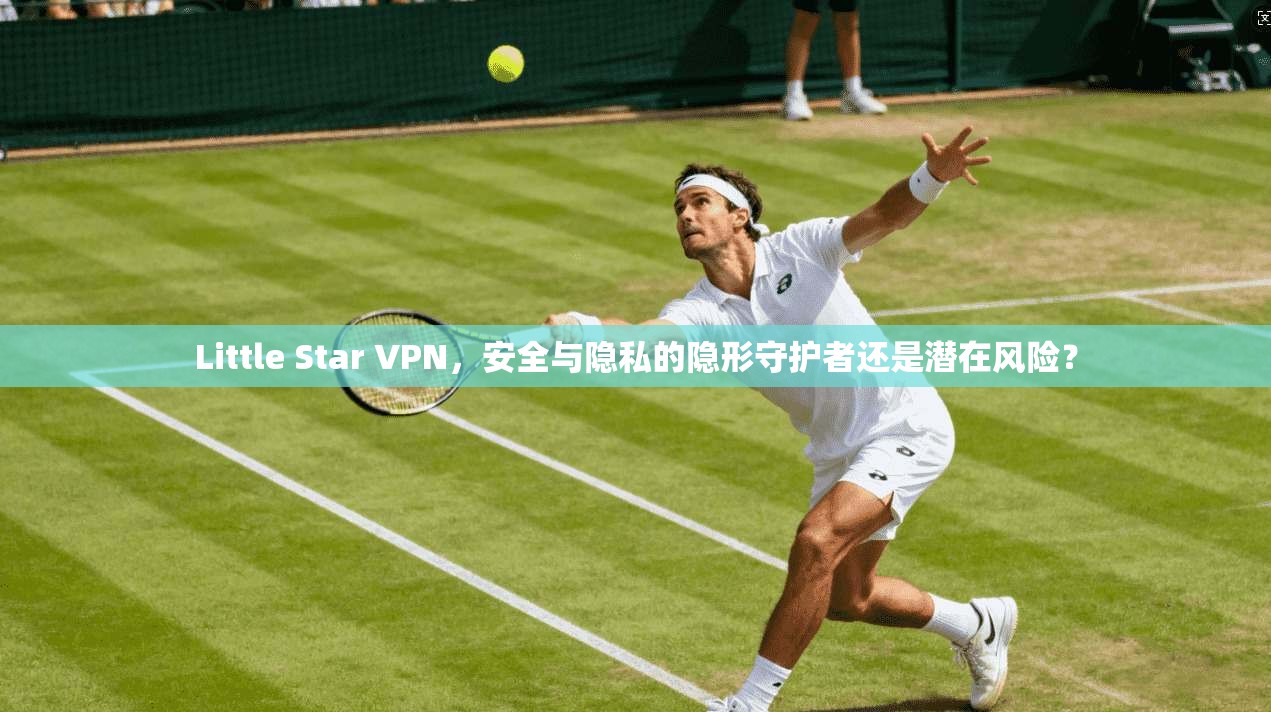 Little Star VPN，安全与隐私的隐形守护者还是潜在风险？