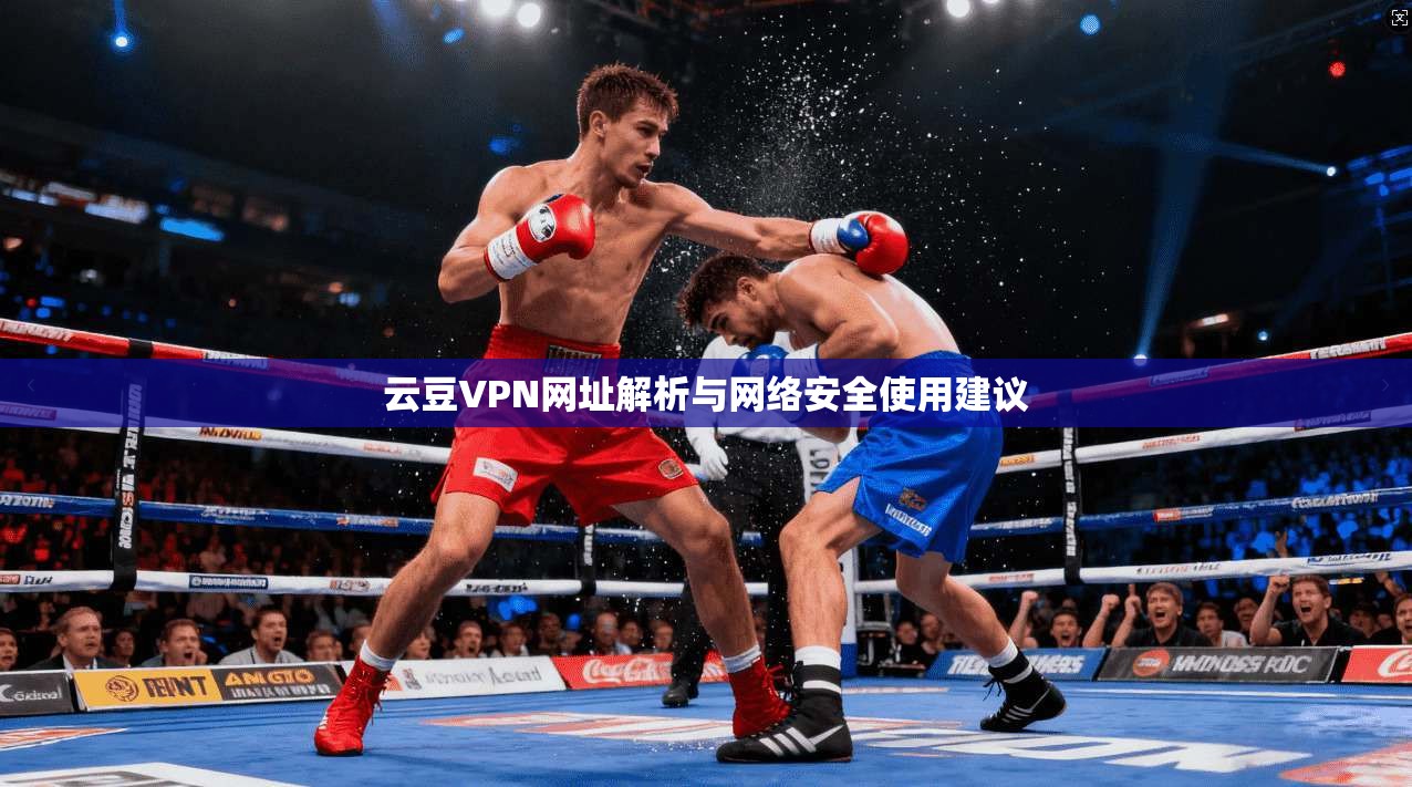 云豆VPN网址解析与网络安全使用建议 云豆VPN网址解析与网络安全使用建议