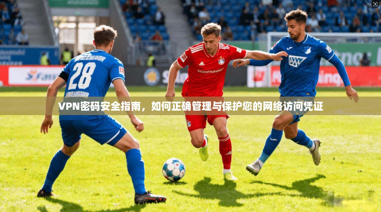 VPN密码安全指南，如何正确管理与保护您的网络访问凭证