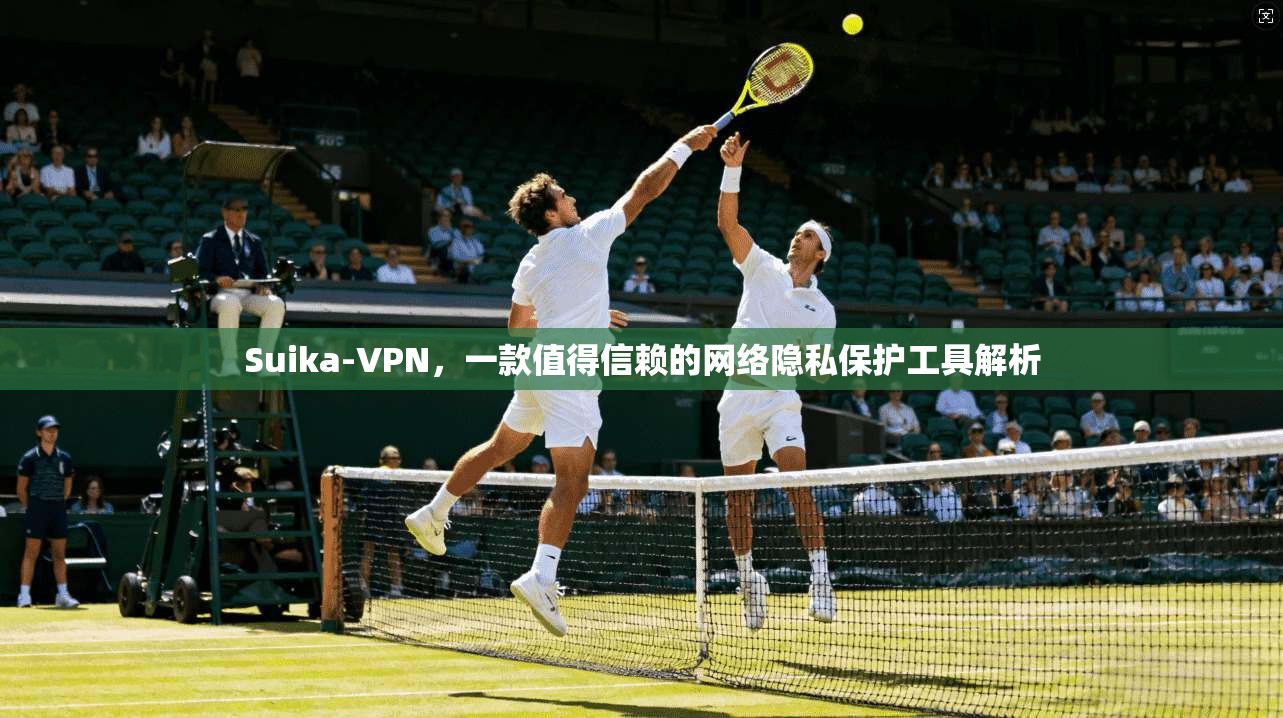 Suika-VPN，一款值得信赖的网络隐私保护工具解析