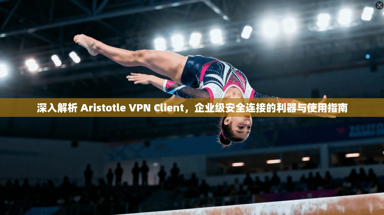 深入解析 Aristotle VPN Client，企业级安全连接的利器与使用指南