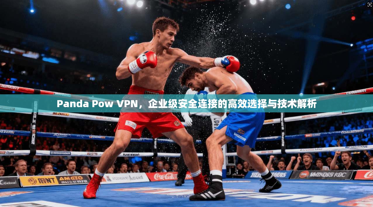 Panda Pow VPN，企业级安全连接的高效选择与技术解析