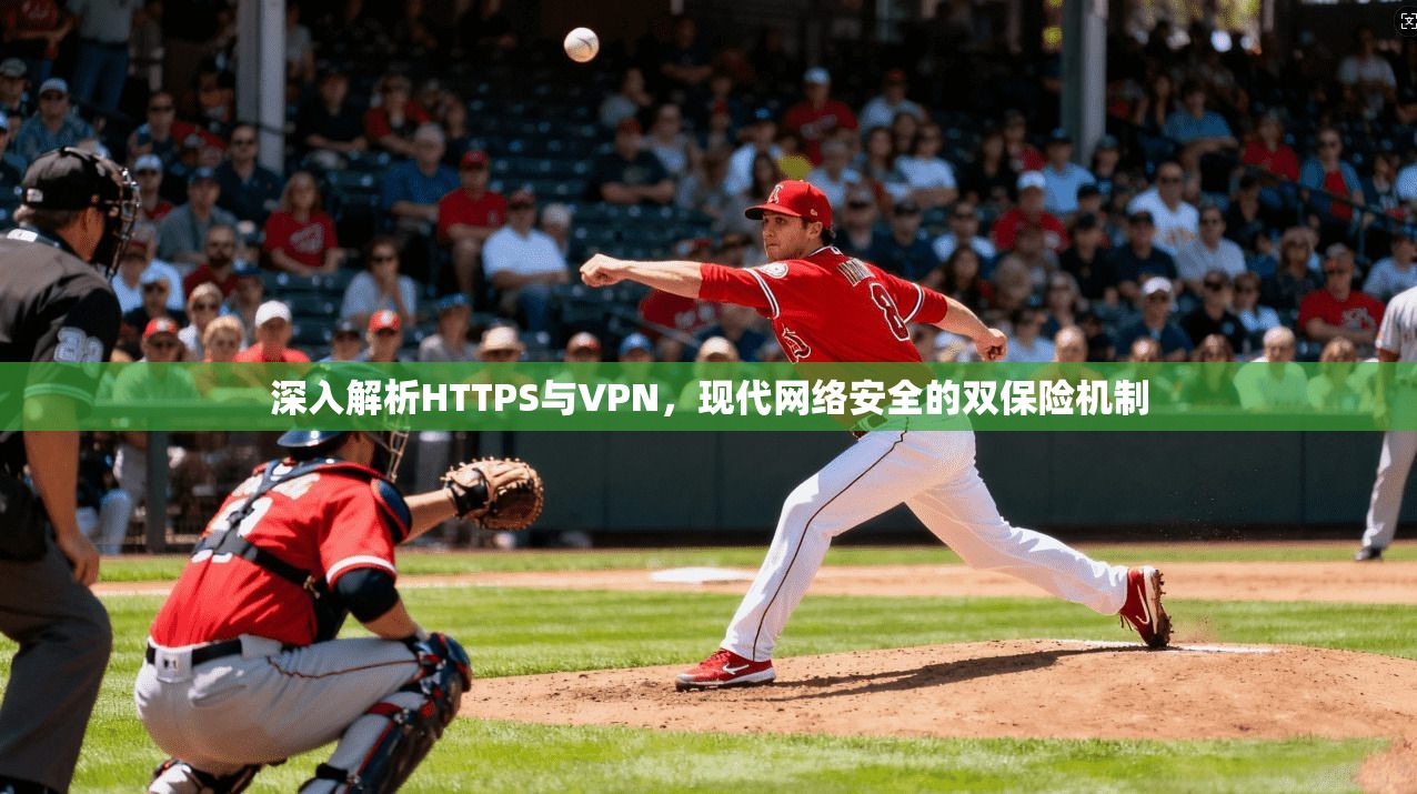深入解析HTTPS与VPN，现代网络安全的双保险机制