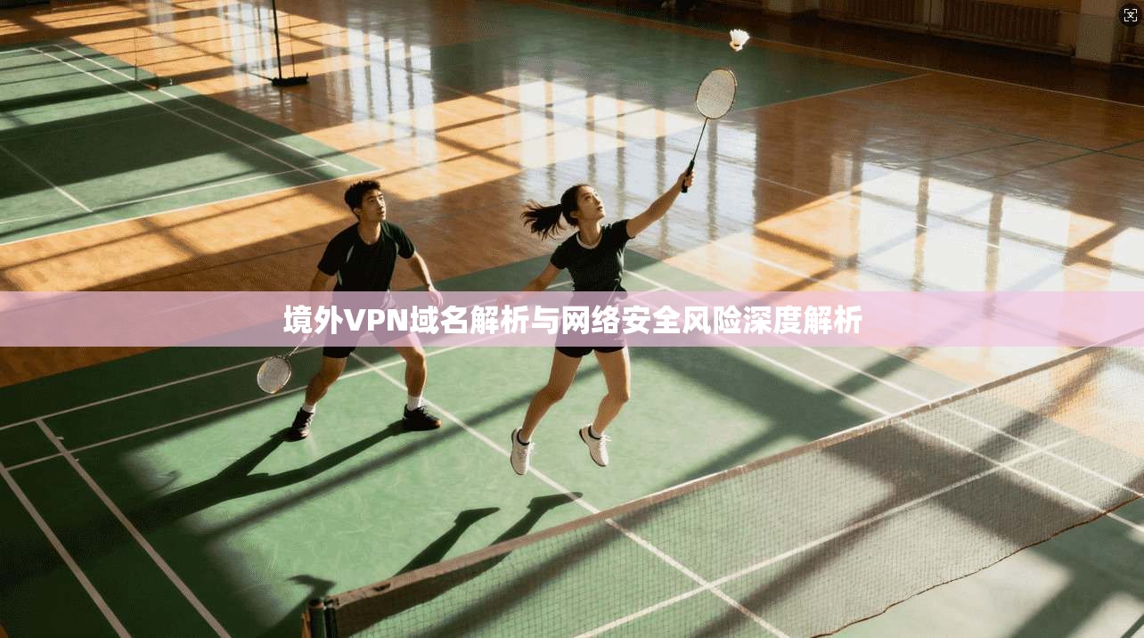 境外VPN域名解析与网络安全风险深度解析