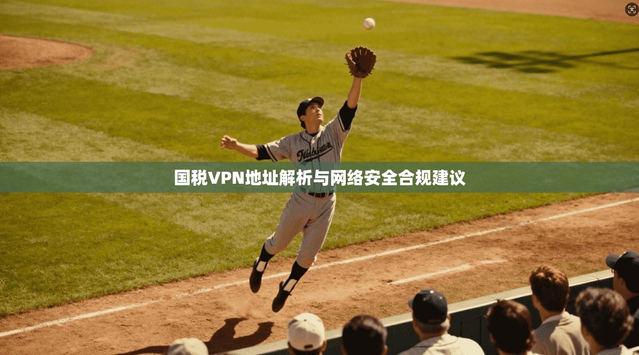 国税VPN地址解析与网络安全合规建议