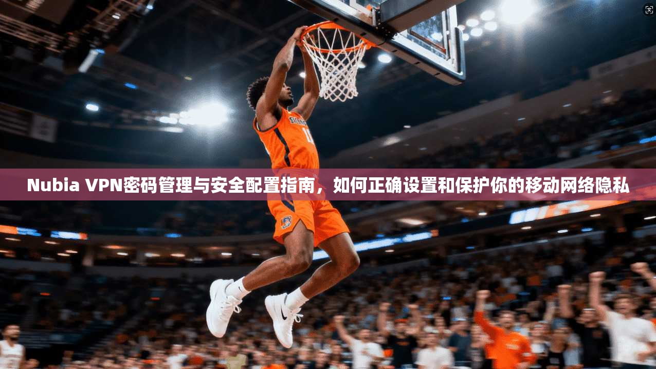 Nubia VPN密码管理与安全配置指南，如何正确设置和保护你的移动网络隐私