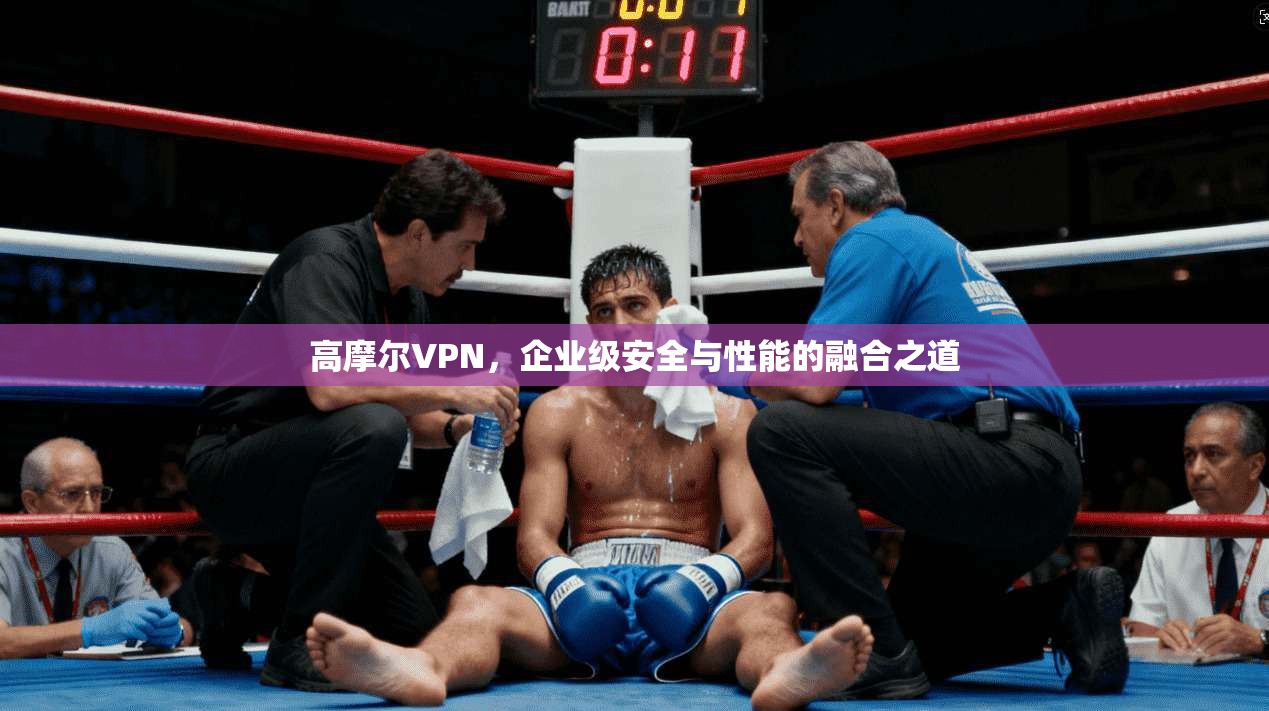 高摩尔VPN，企业级安全与性能的融合之道