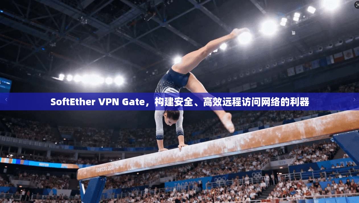 SoftEther VPN Gate，构建安全、高效远程访问网络的利器