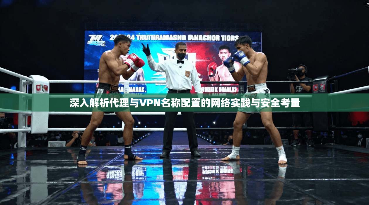深入解析代理与VPN名称配置的网络实践与安全考量