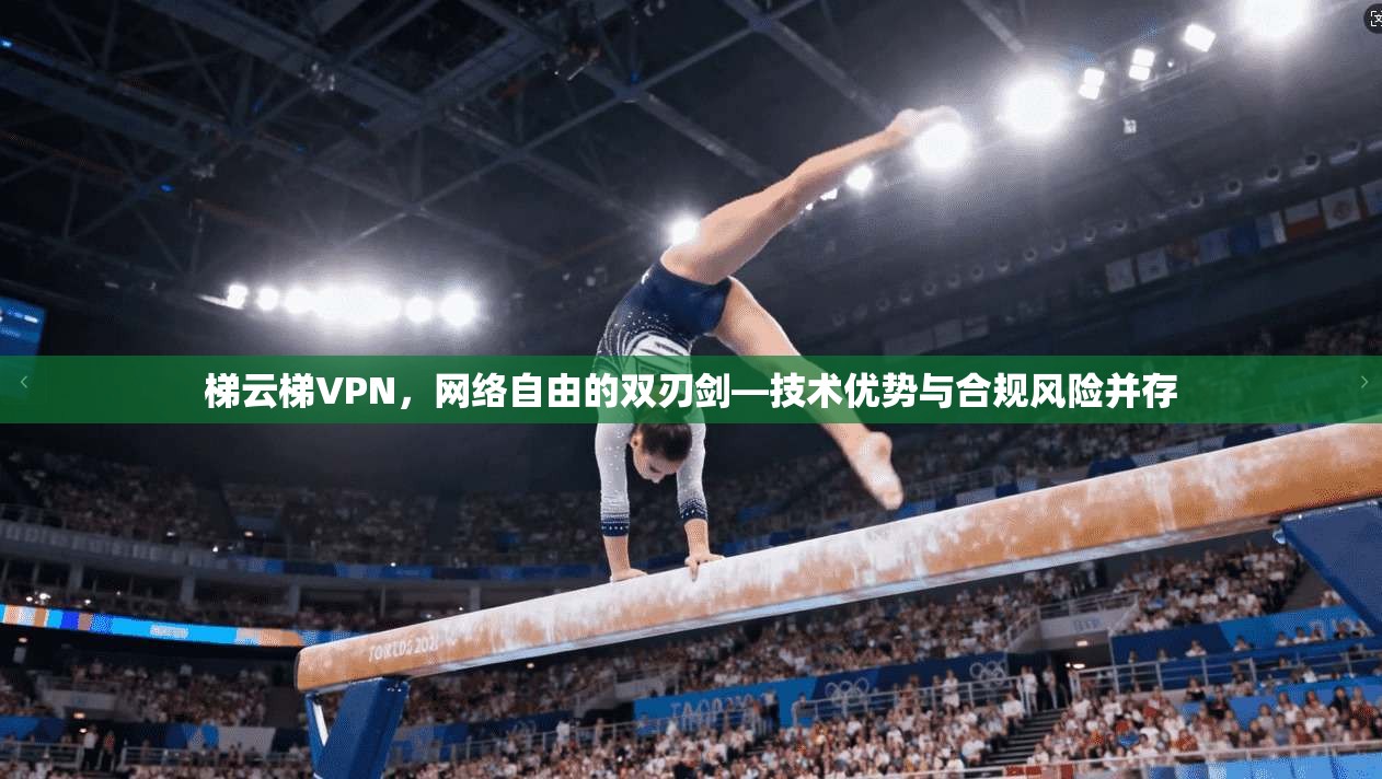 梯云梯VPN，网络自由的双刃剑—技术优势与合规风险并存