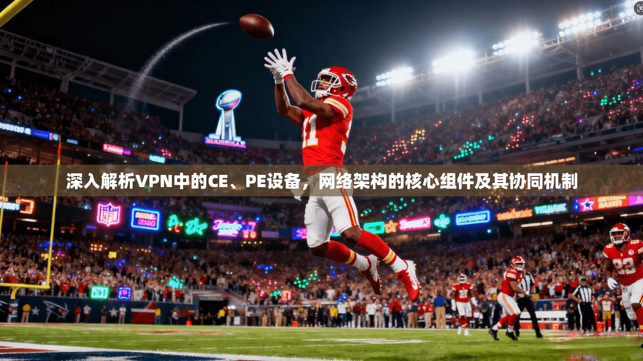 深入解析VPN中的CE、PE设备，网络架构的核心组件及其协同机制