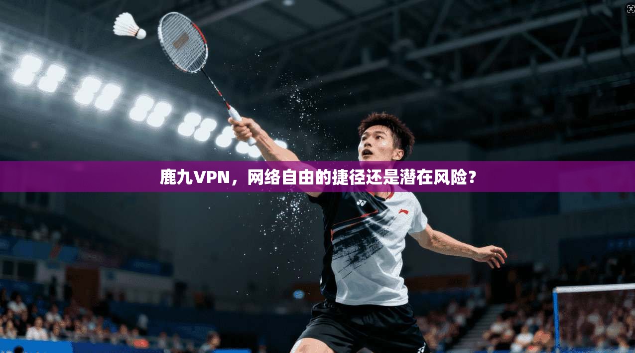 鹿九VPN，网络自由的捷径还是潜在风险？