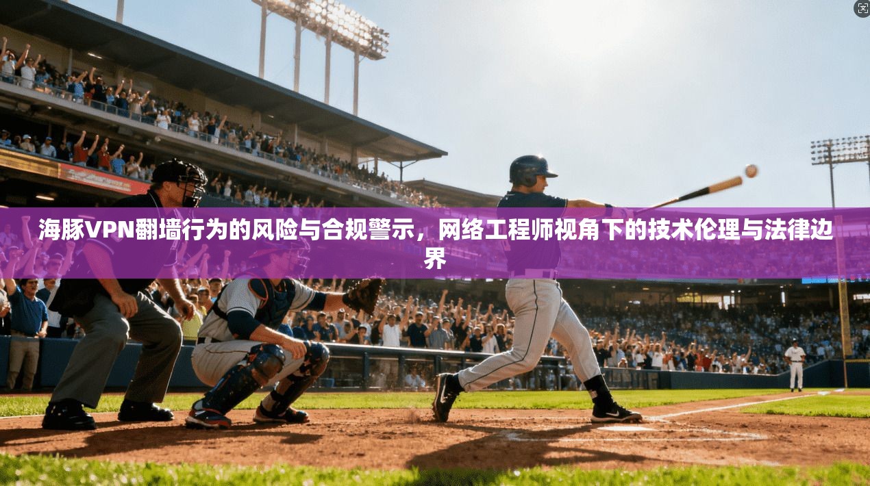 海豚VPN翻墙行为的风险与合规警示，网络工程师视角下的技术伦理与法律边界