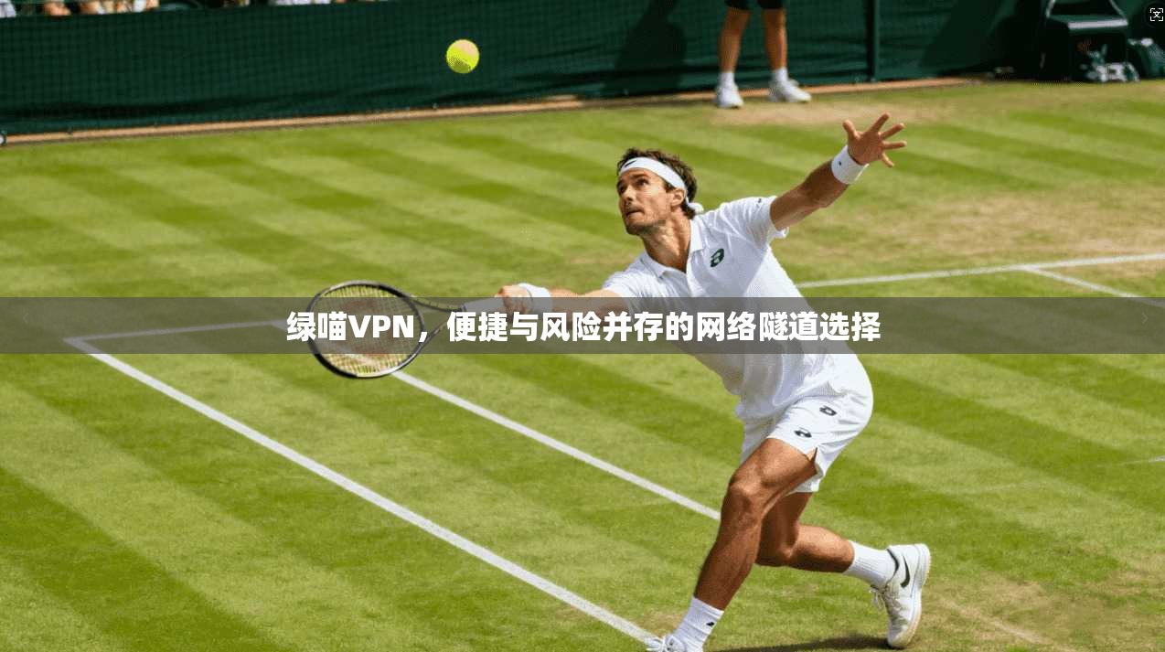 绿喵VPN，便捷与风险并存的网络隧道选择