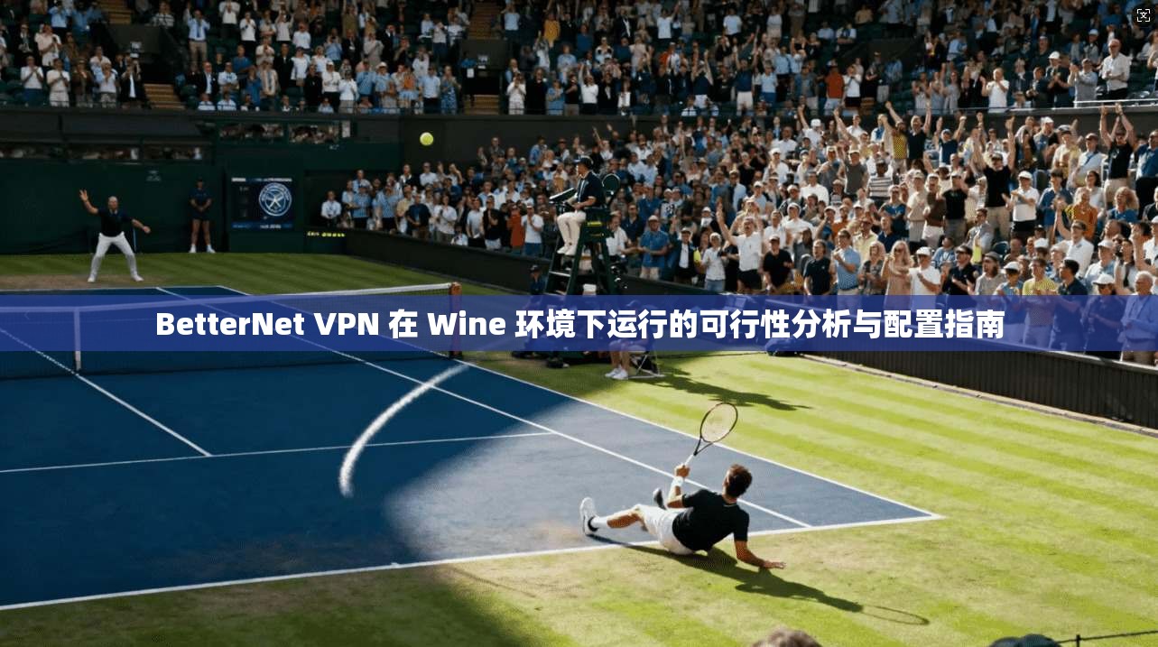 BetterNet VPN 在 Wine 环境下运行的可行性分析与配置指南