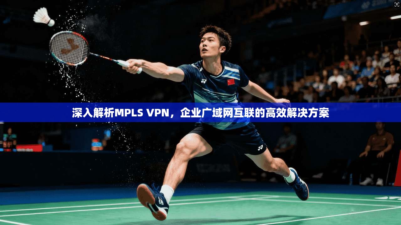 深入解析MPLS VPN，企业广域网互联的高效解决方案
