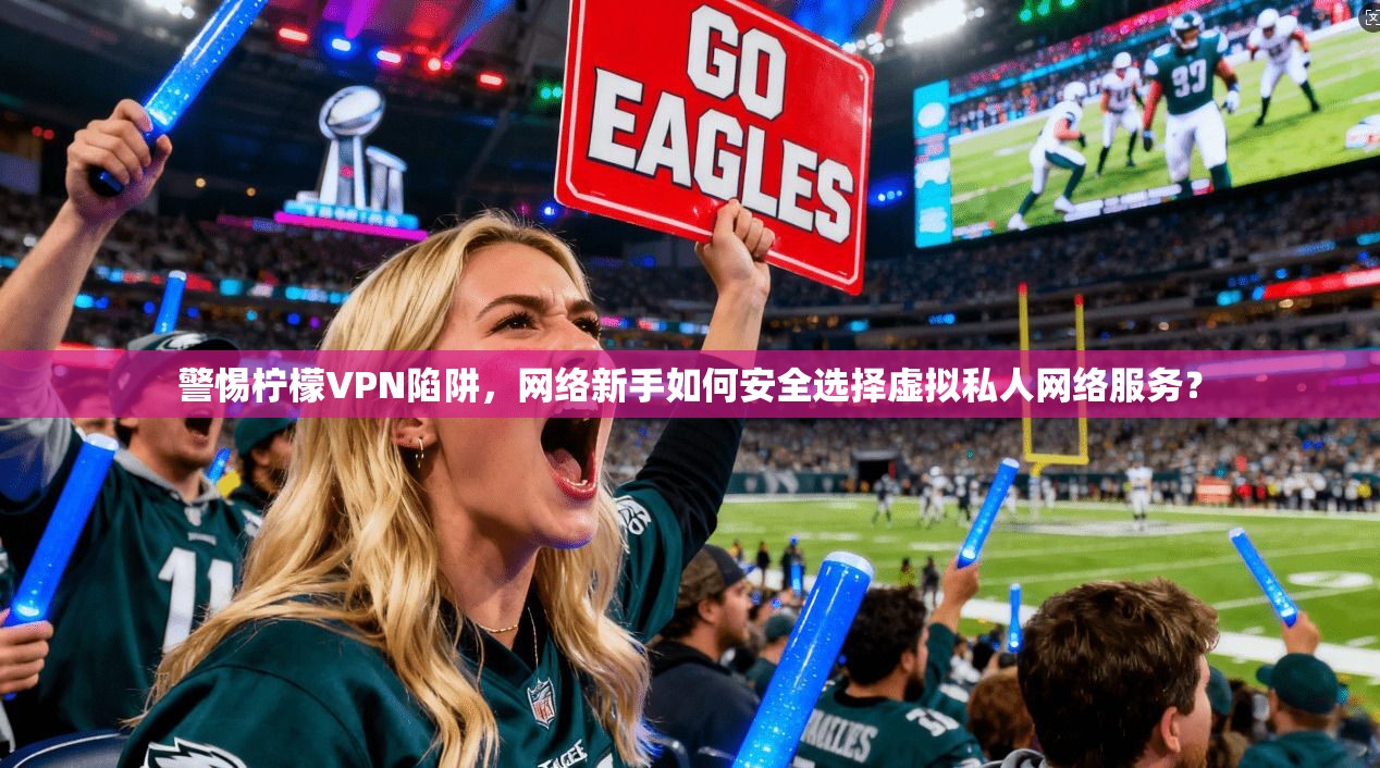 警惕柠檬VPN陷阱，网络新手如何安全选择虚拟私人网络服务？