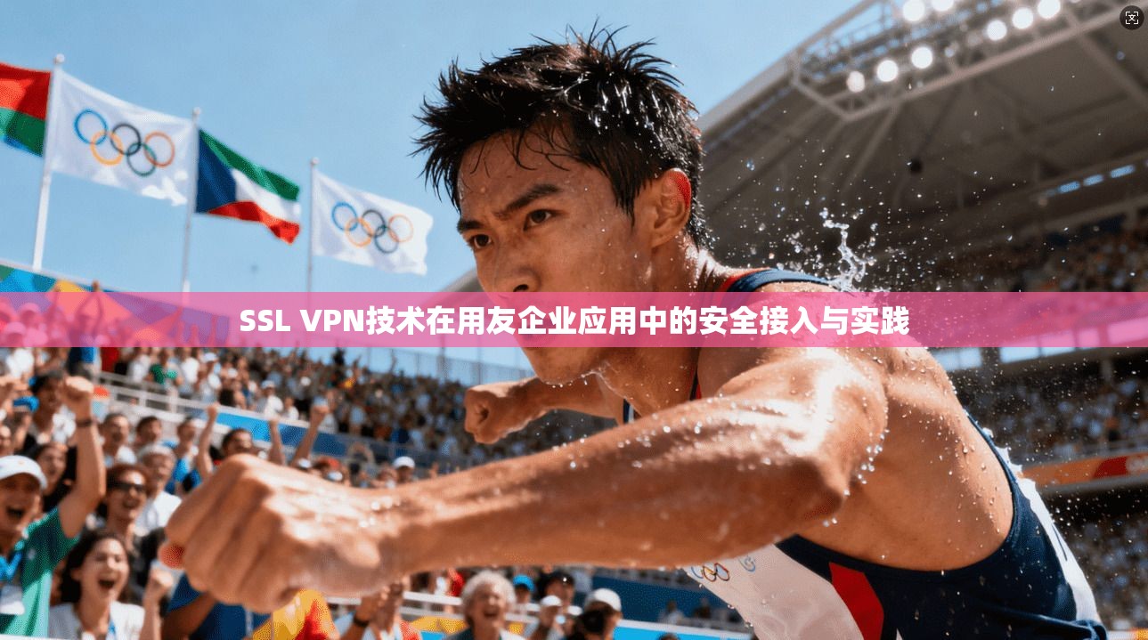 SSL VPN技术在用友企业应用中的安全接入与实践