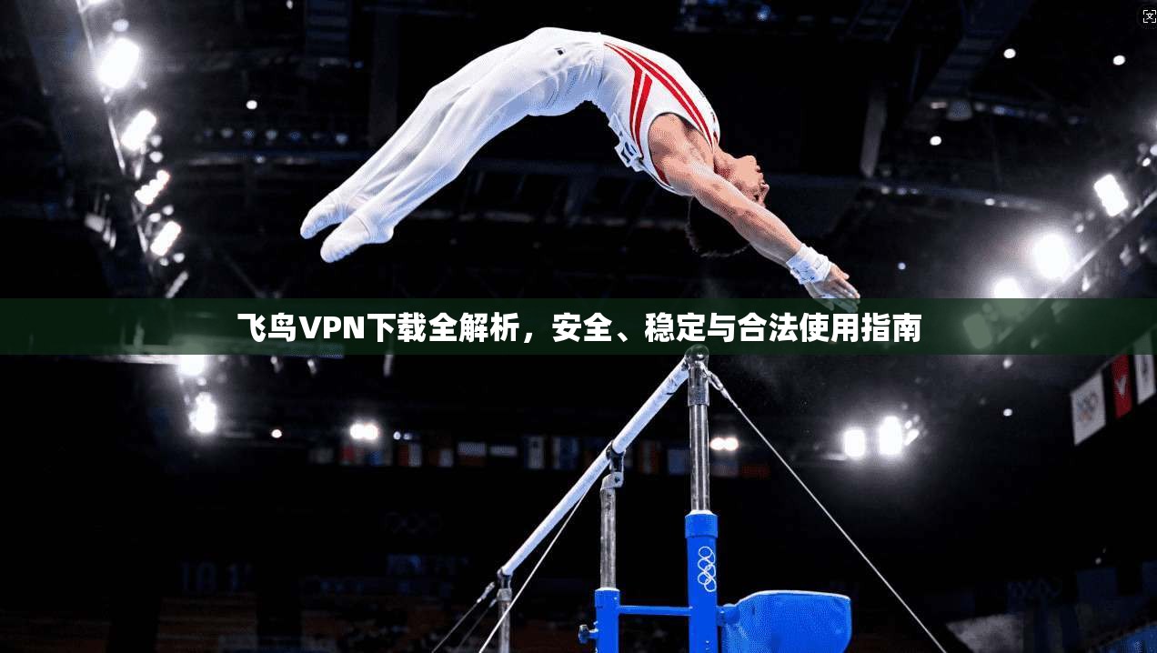 飞鸟VPN下载全解析，安全、稳定与合法使用指南