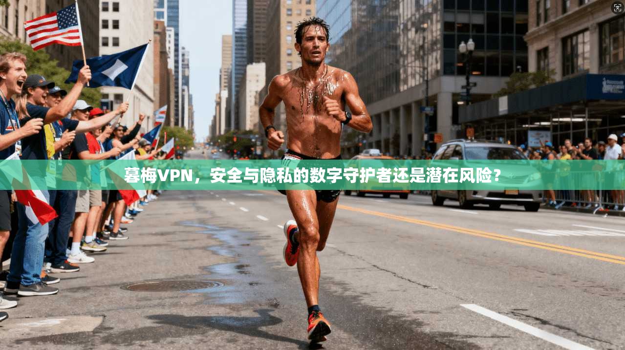 暮梅VPN，安全与隐私的数字守护者还是潜在风险？
